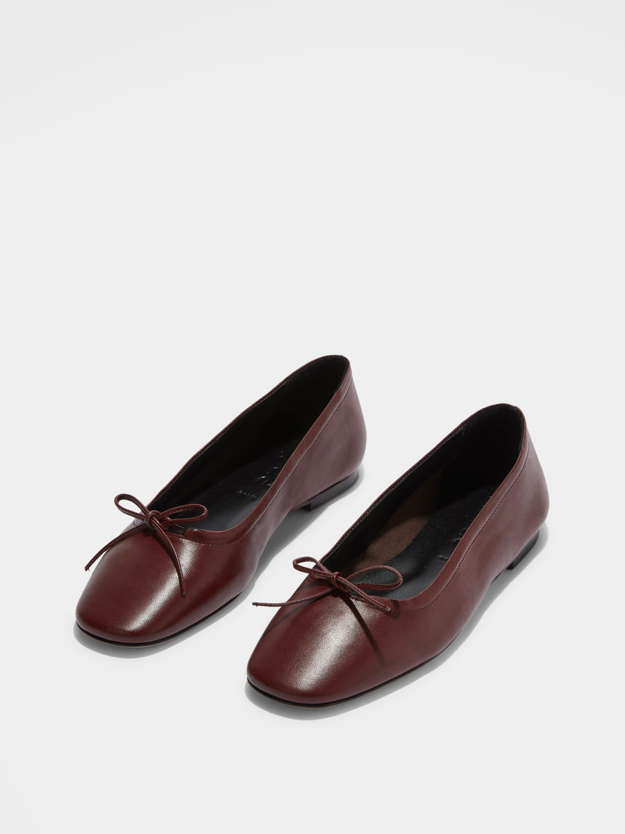 Delfina Leather Ballet Flats