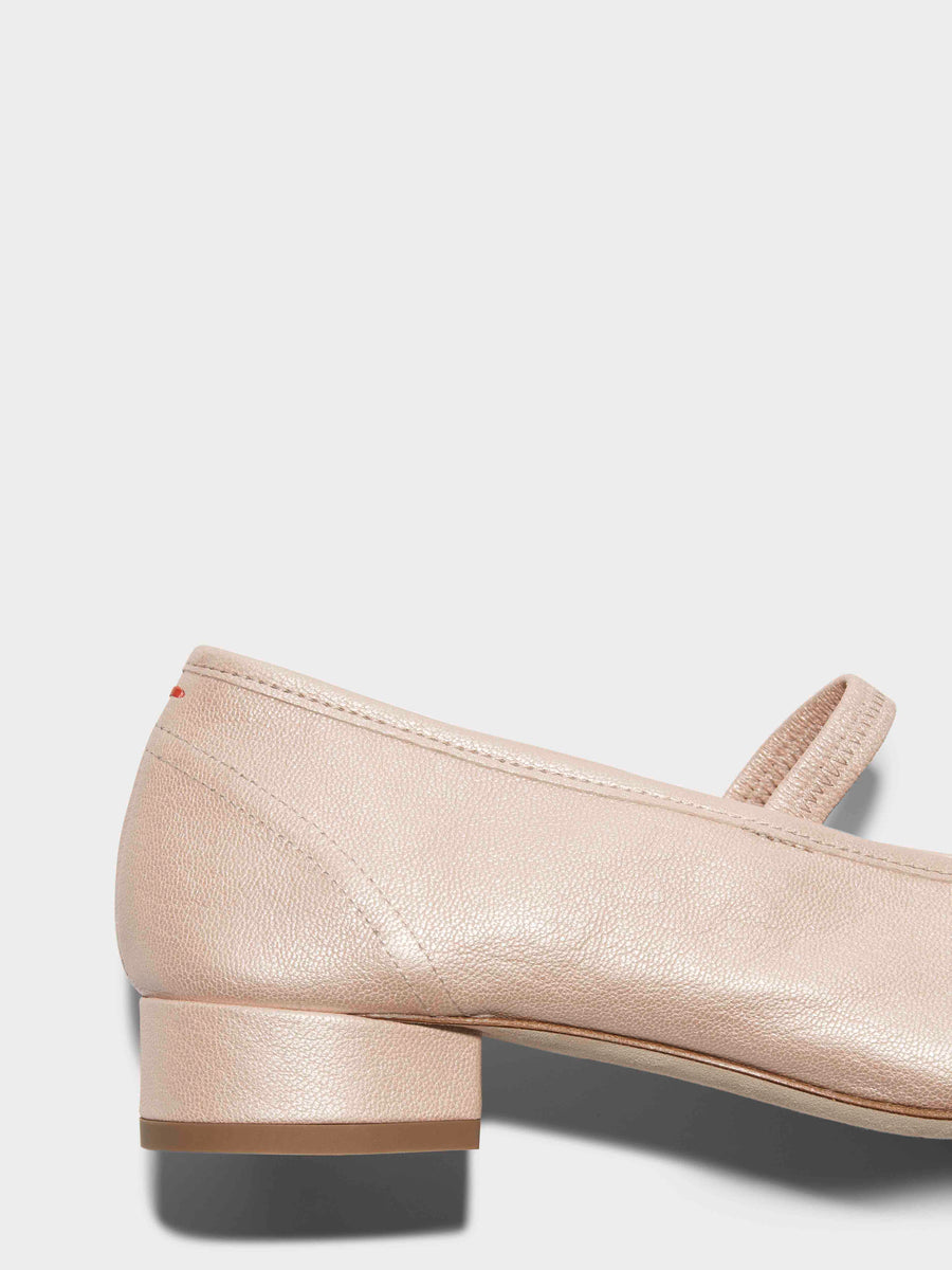 Pippa Leather Ballet Flats